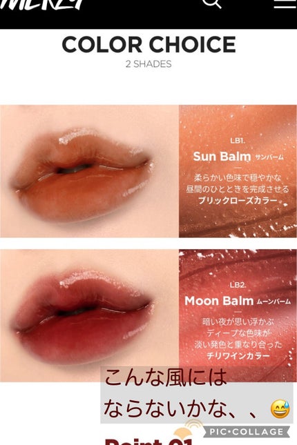 ザ ヘリテージ オール デイ リップケア/MERZY/リップバームを使ったクチコミ(5枚目)