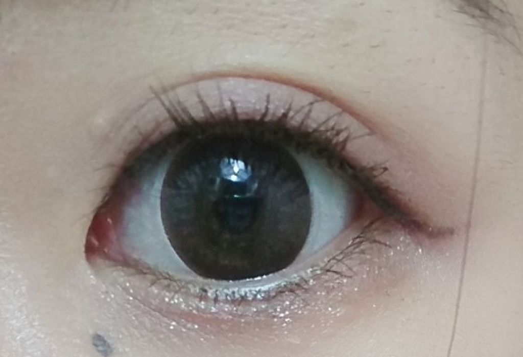 ガナッシュ アンド プラリネ アイパレット ダーク カカオ/shu uemura/アイシャドウパレットを使ったクチコミ（3枚目）