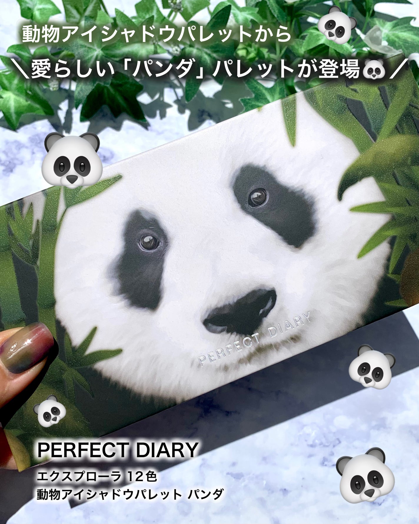 エクスプローラ12色 動物アイシャドウパレット/PERFECT DIARY/アイシャドウパレットを使ったクチコミ(1枚目)