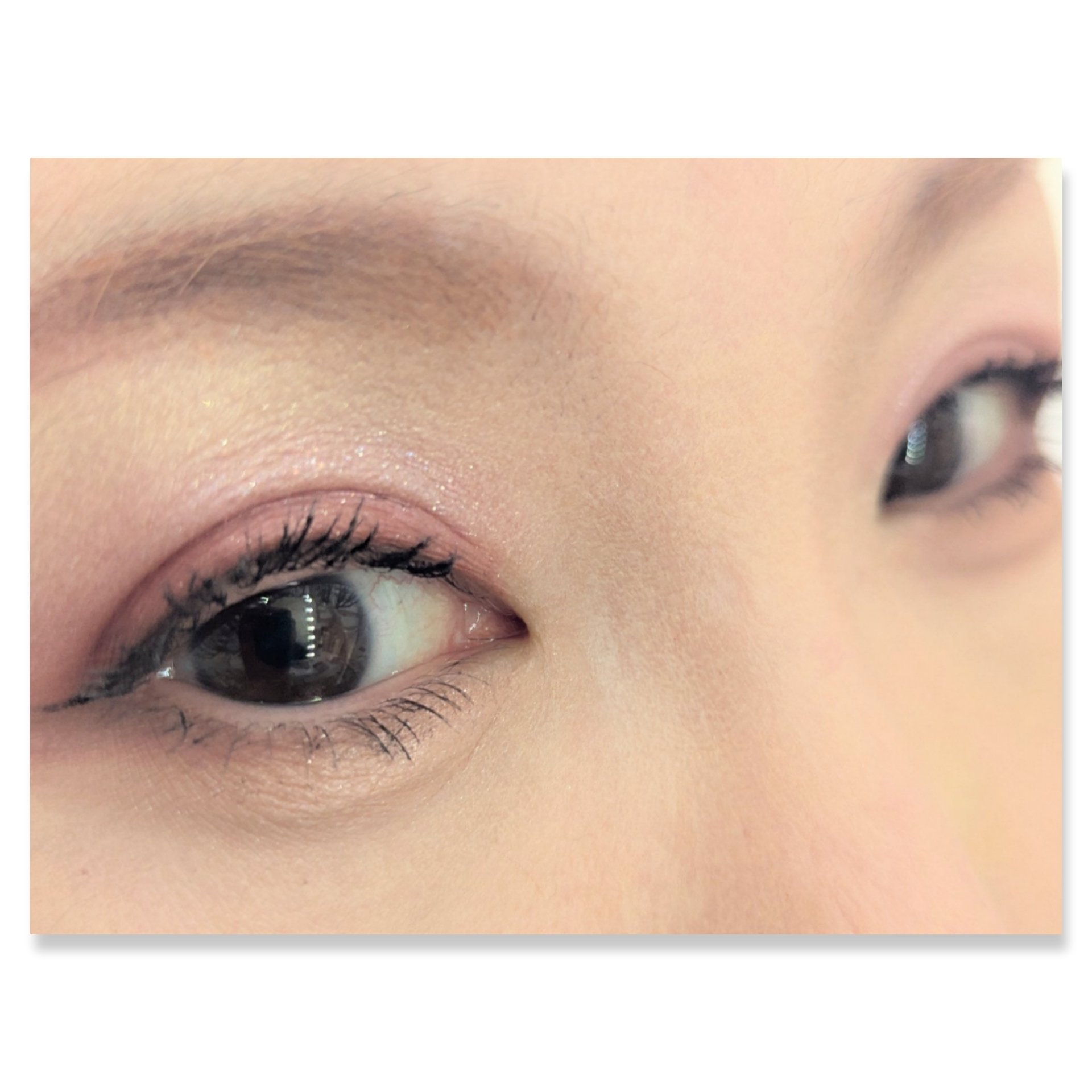 リアルクローズシャドウ/excel/アイシャドウパレットを使ったクチコミ（2枚目）