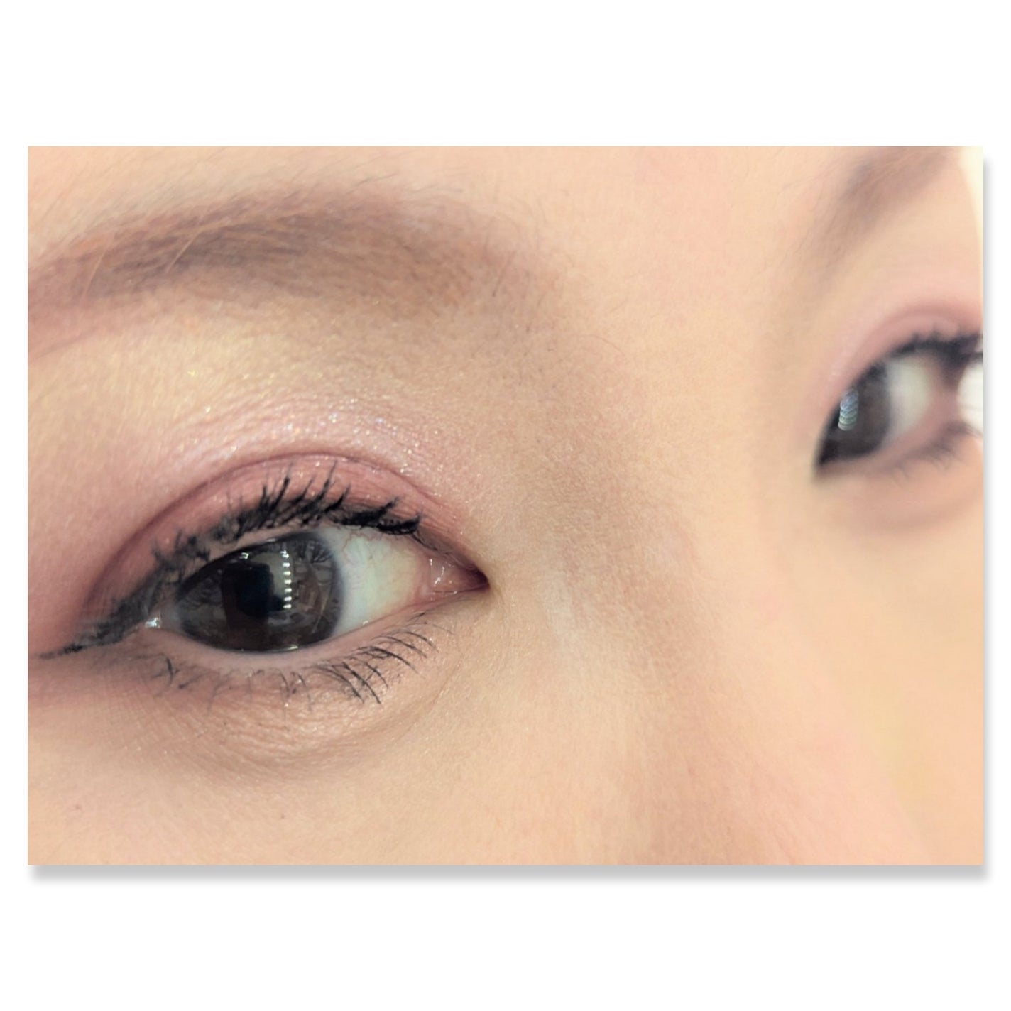 リアルクローズシャドウ/excel/アイシャドウパレットを使ったクチコミ(2枚目)