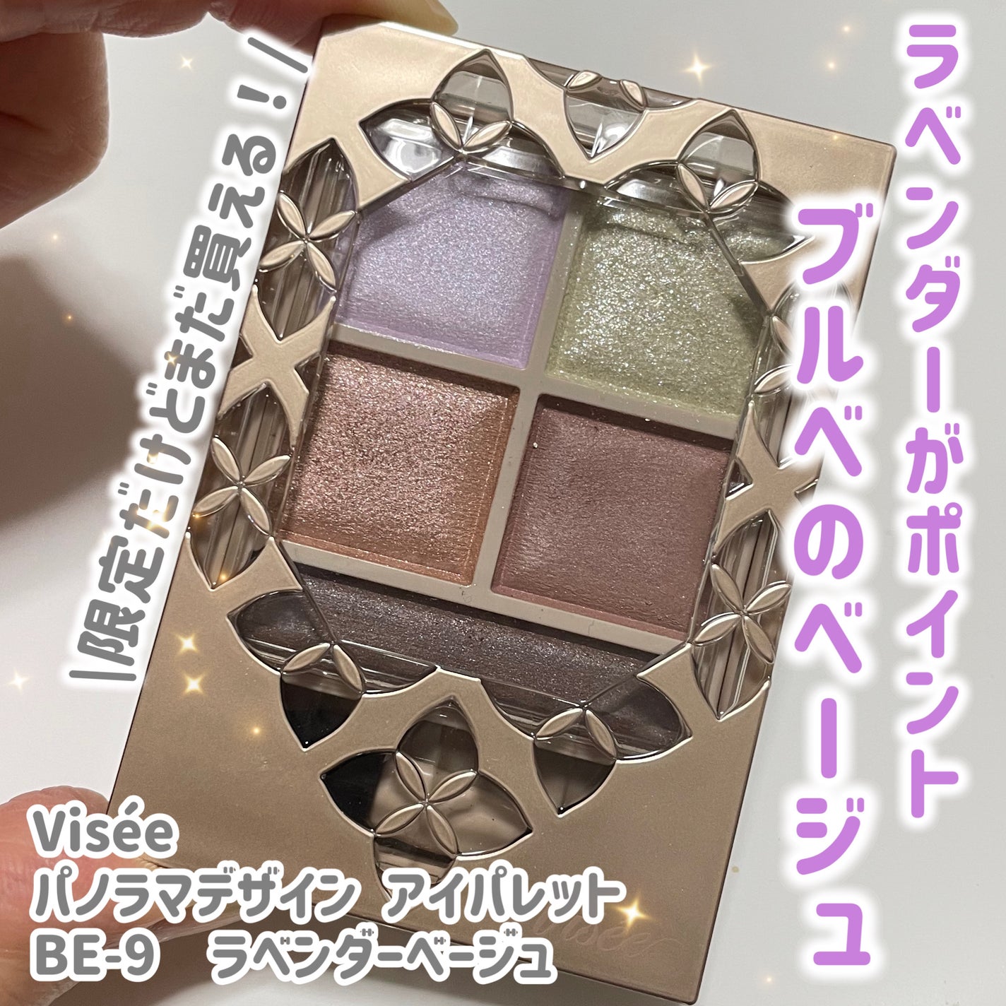 パノラマデザイン アイパレット/Visée/アイシャドウパレットを使ったクチコミ(1枚目)