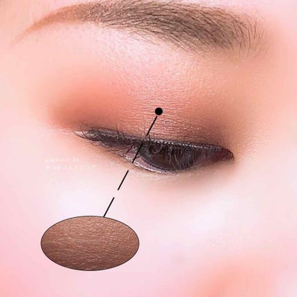 コンスピキュアス ブラッシュリップス/Amplitude/口紅を使ったクチコミ(1枚目)