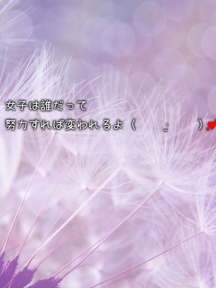 自己紹介/雑談/その他を使ったクチコミ(2枚目)