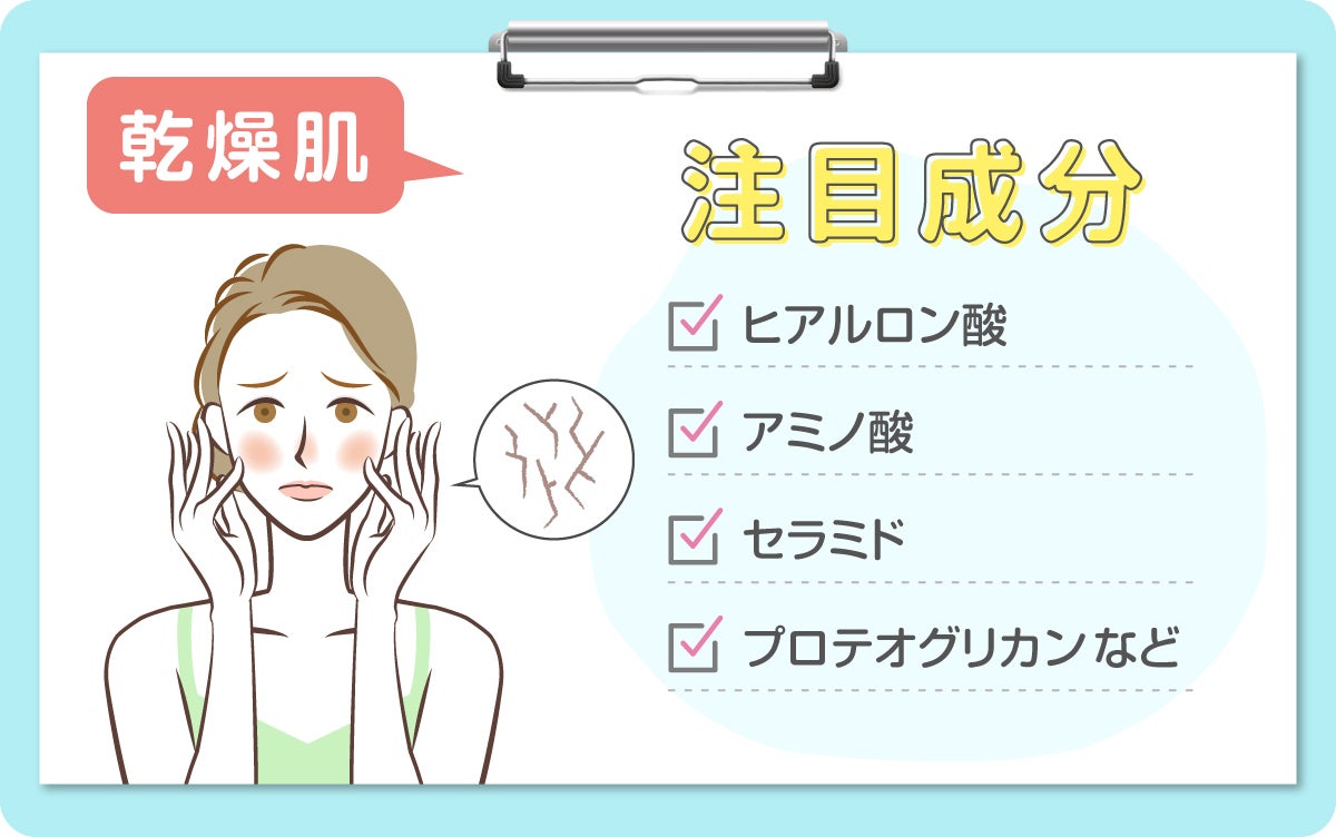 乾燥肌の注目成分はヒアルロン酸・アミノ酸・セラミド・プロテオグリカンなどです。
