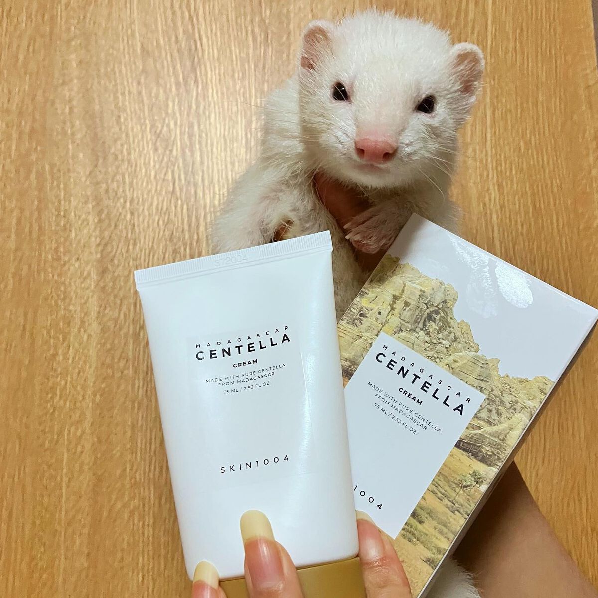 センテラ クリーム/SKIN1004/フェイスクリームを使ったクチコミ（1枚目）