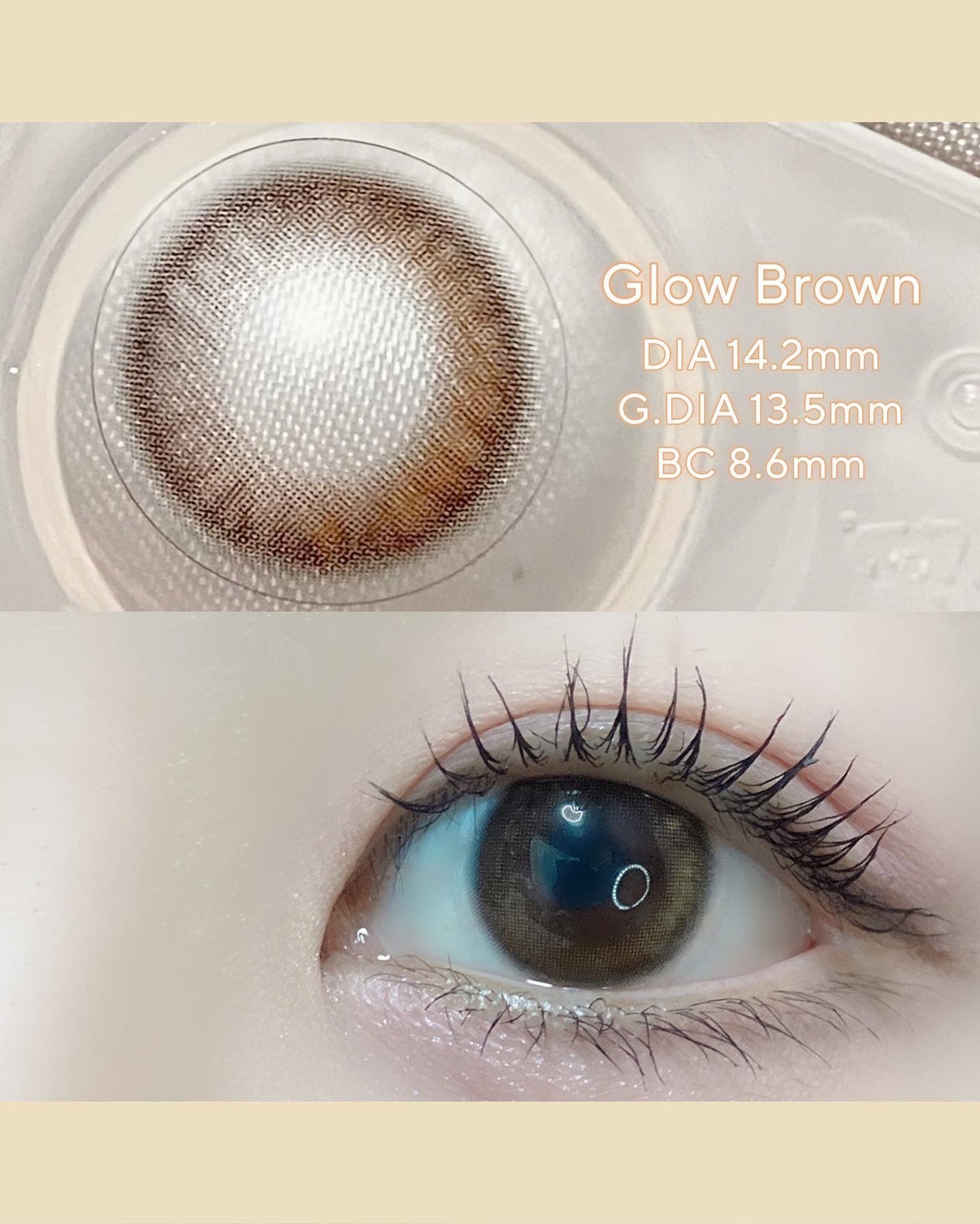 TOPARDS 1day/TOPARDS/ワンデー(1DAY)カラコンを使ったクチコミ(2枚目)