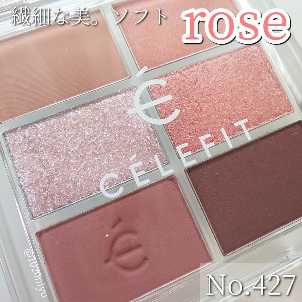 プロアイシャドウパレットセシル/CELEFIT/アイシャドウパレットを使ったクチコミ(2枚目)