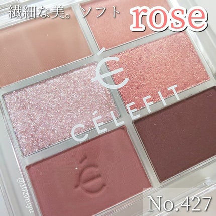 プロアイシャドウパレットセシル/CELEFIT/アイシャドウパレットを使ったクチコミ(2枚目)