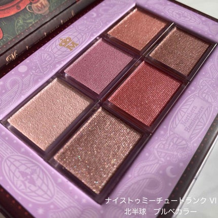 ナイストゥミーチュートランク/MAJOLICA MAJORCA/アイシャドウパレットを使ったクチコミ(2枚目)