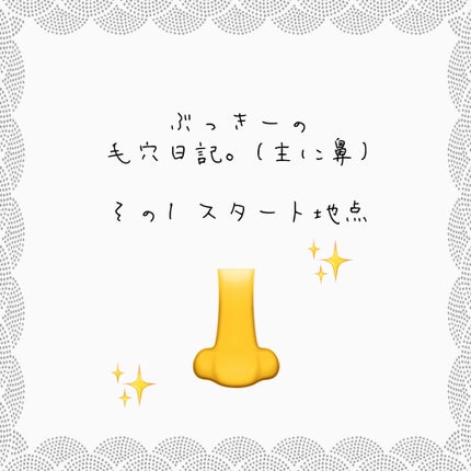 酵素洗顔パウダー/雪肌粋/洗顔パウダーを使ったクチコミ(1枚目)
