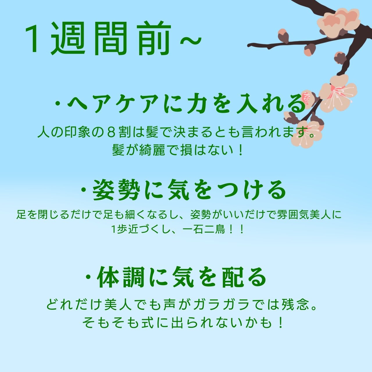 ナチュラル チークN/CEZANNE/パウダーチークを使ったクチコミ(2枚目)