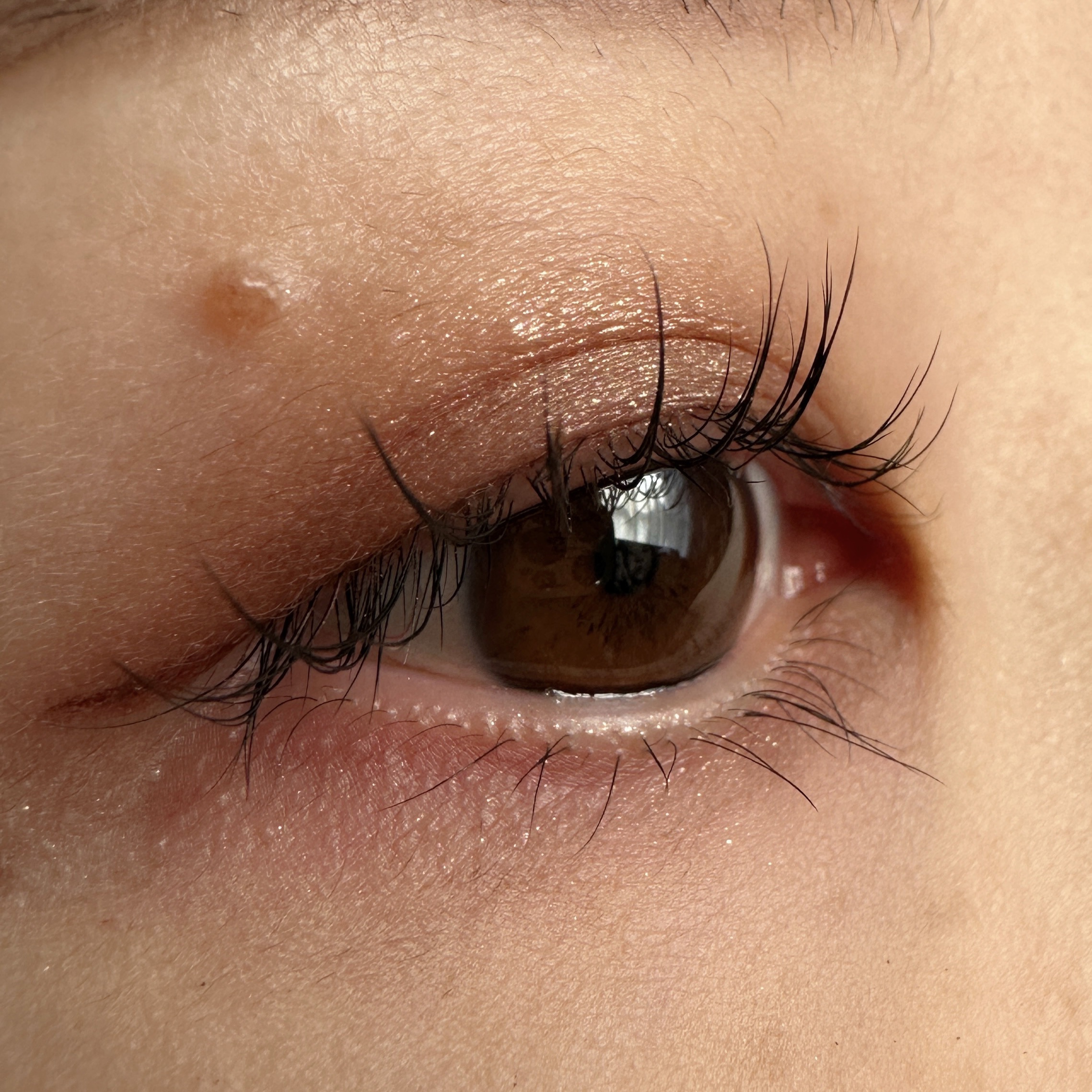 クリーミータッチライナー/キャンメイク/ジェルアイライナーを使ったクチコミ（2枚目）