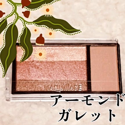 ドラマティックアイカラー (マルチ)/マキアージュ/マルチパレットを使ったクチコミ(2枚目)