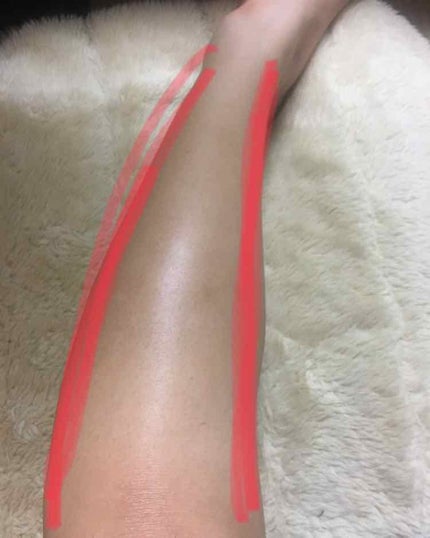 ã䜿ã£ãã¯ãã³ãïŒ3æç®ïŒ