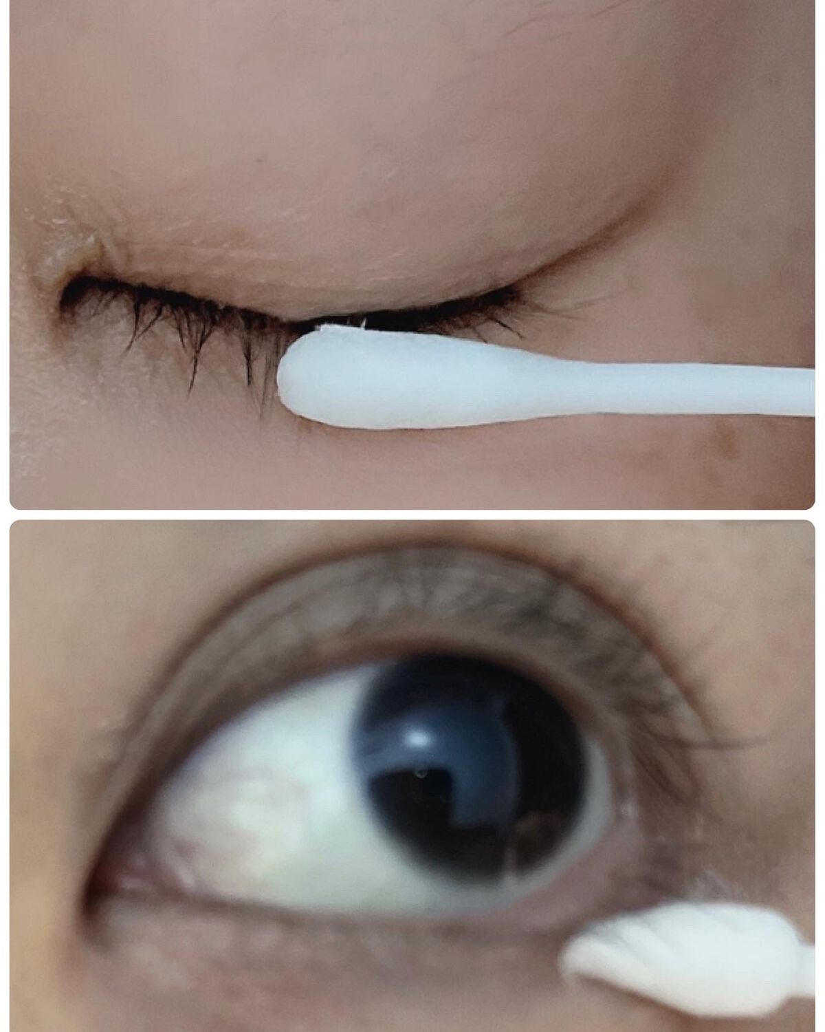 アイラッシュセラム/ビヴェール/まつげ美容液を使ったクチコミ(1枚目)