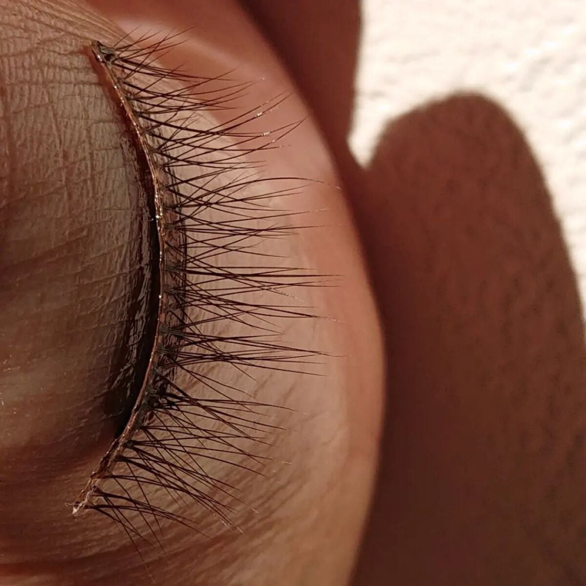 アイラッシュグルー/ミッシュブルーミン/つけまつげを使ったクチコミ(5枚目)