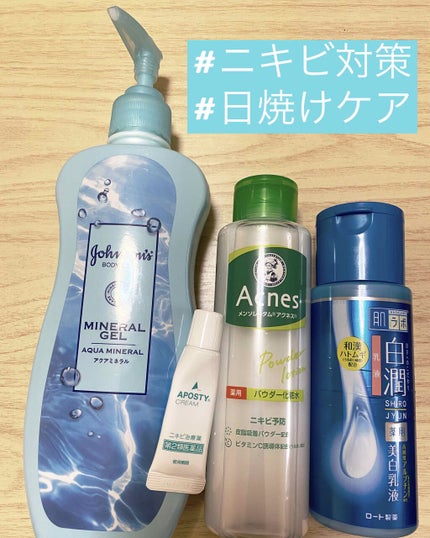 薬用パウダー化粧水/メンソレータム アクネス/化粧水を使ったクチコミ(1枚目)
