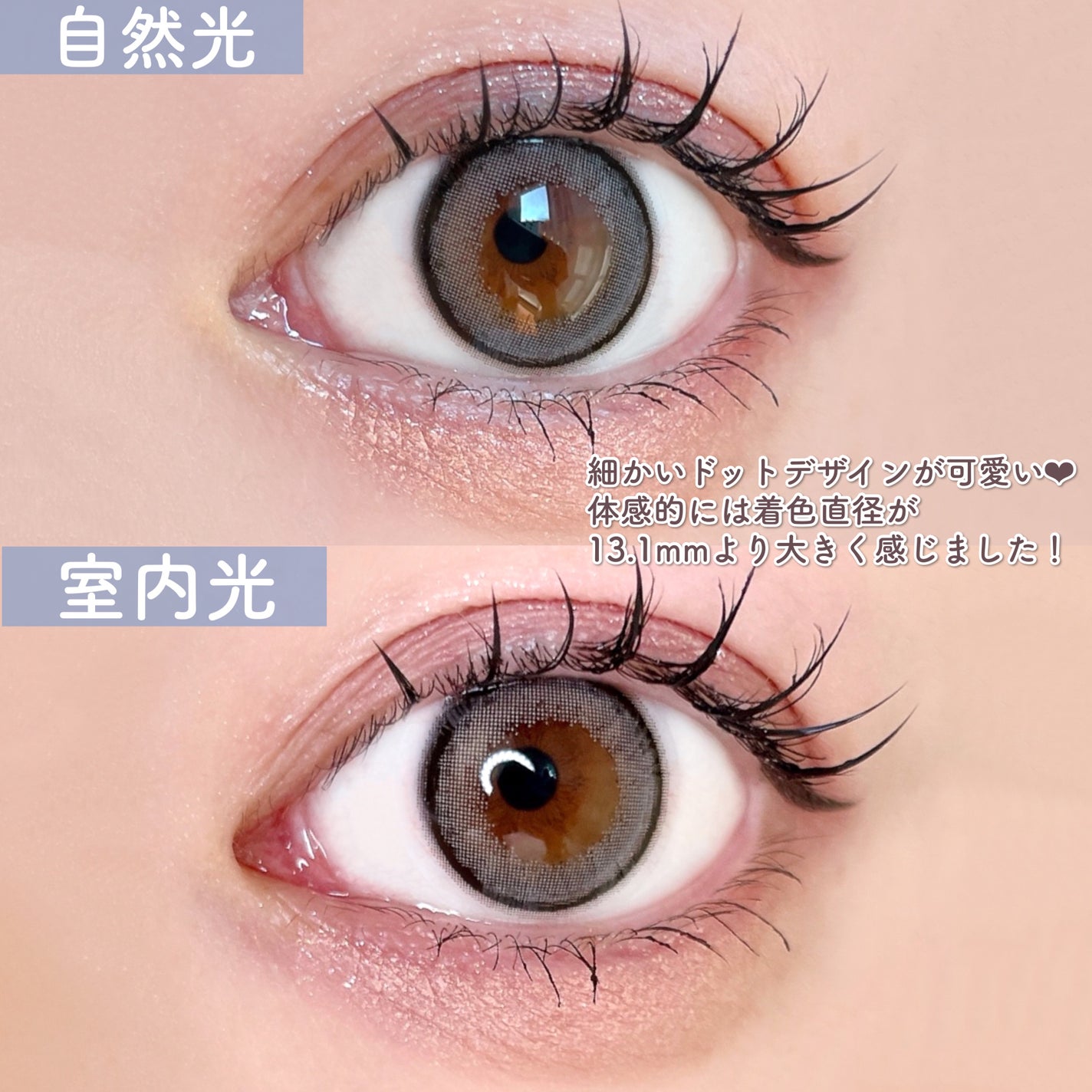 エバーカラーワンデーミリモア/エバーカラー/ワンデー(1DAY)カラコンを使ったクチコミ(4枚目)