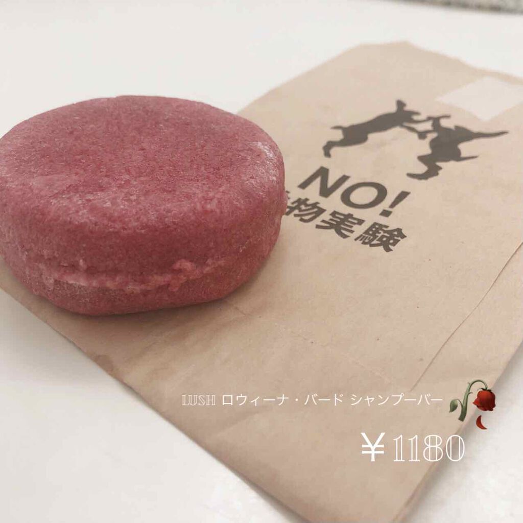 ロウィーナ・バード シャンプーバー/ラッシュ/シャンプー・コンディショナーを使ったクチコミ(1枚目)