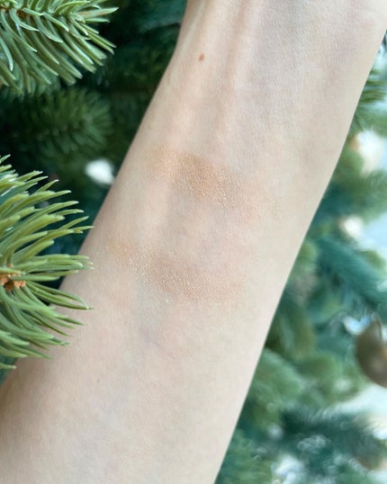 カラーリング アイカラー 500 ビターなモカコーヒー/ANNA SUI/単色アイシャドウの画像