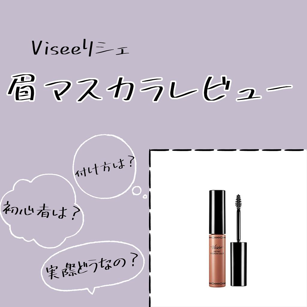 ヴィセ リシェ インスタント アイブロウ カラー/Visée/眉マスカラを使ったクチコミ（1枚目）