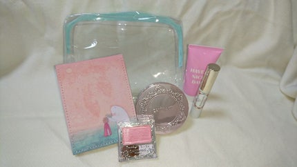 【旧品】パウダーチークス/キャンメイク/パウダーチークを使ったクチコミ(1枚目)