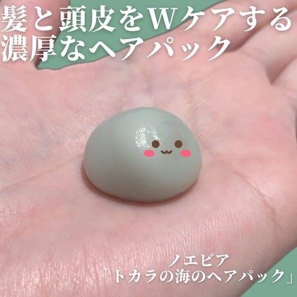 トカラの海のヘアパック/ノエビア/ヘアマスク・ヘアパックを使ったクチコミ(2枚目)