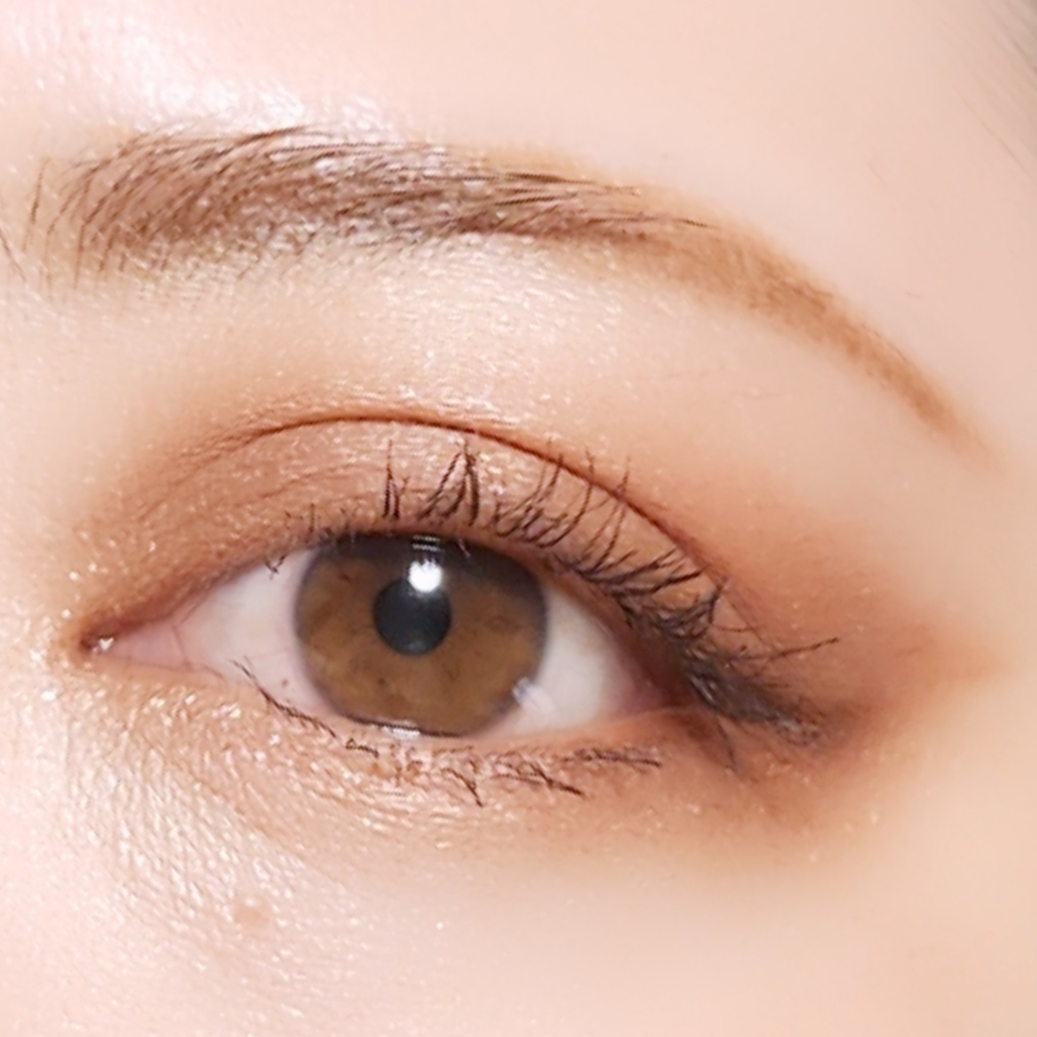 ホーリーモリーレイヤーパレット 05 フォールインブラウン/HAKIT/アイシャドウパレットを使ったクチコミ（3枚目）