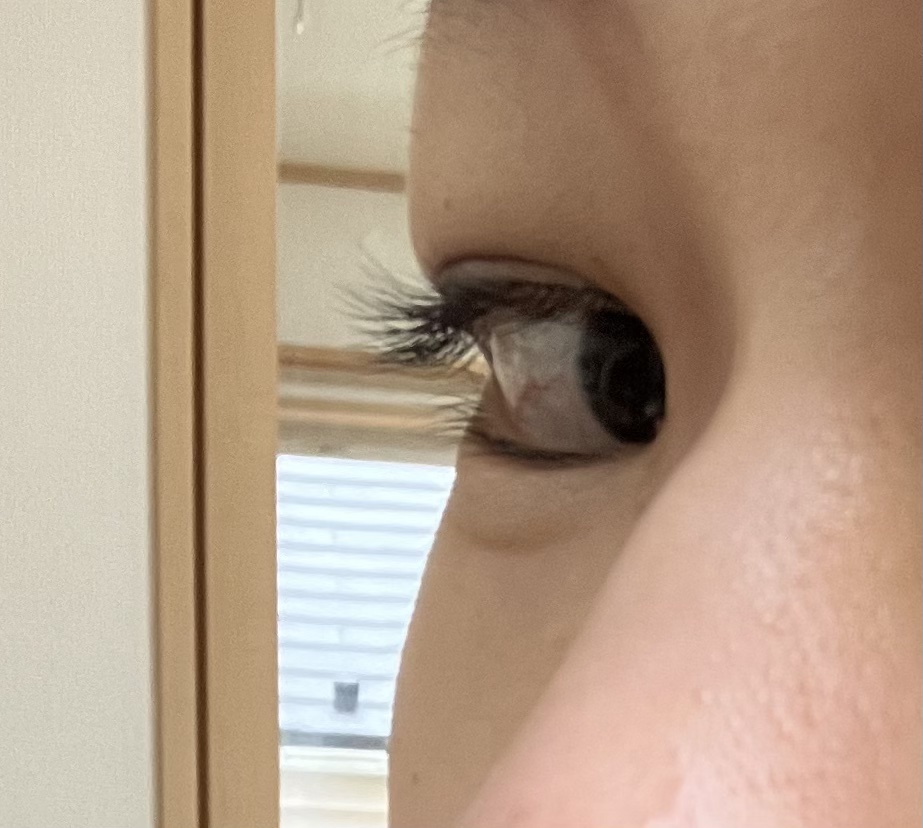 アイラッシュカーラー /SHISEIDO/ビューラーを使ったクチコミ（2枚目）