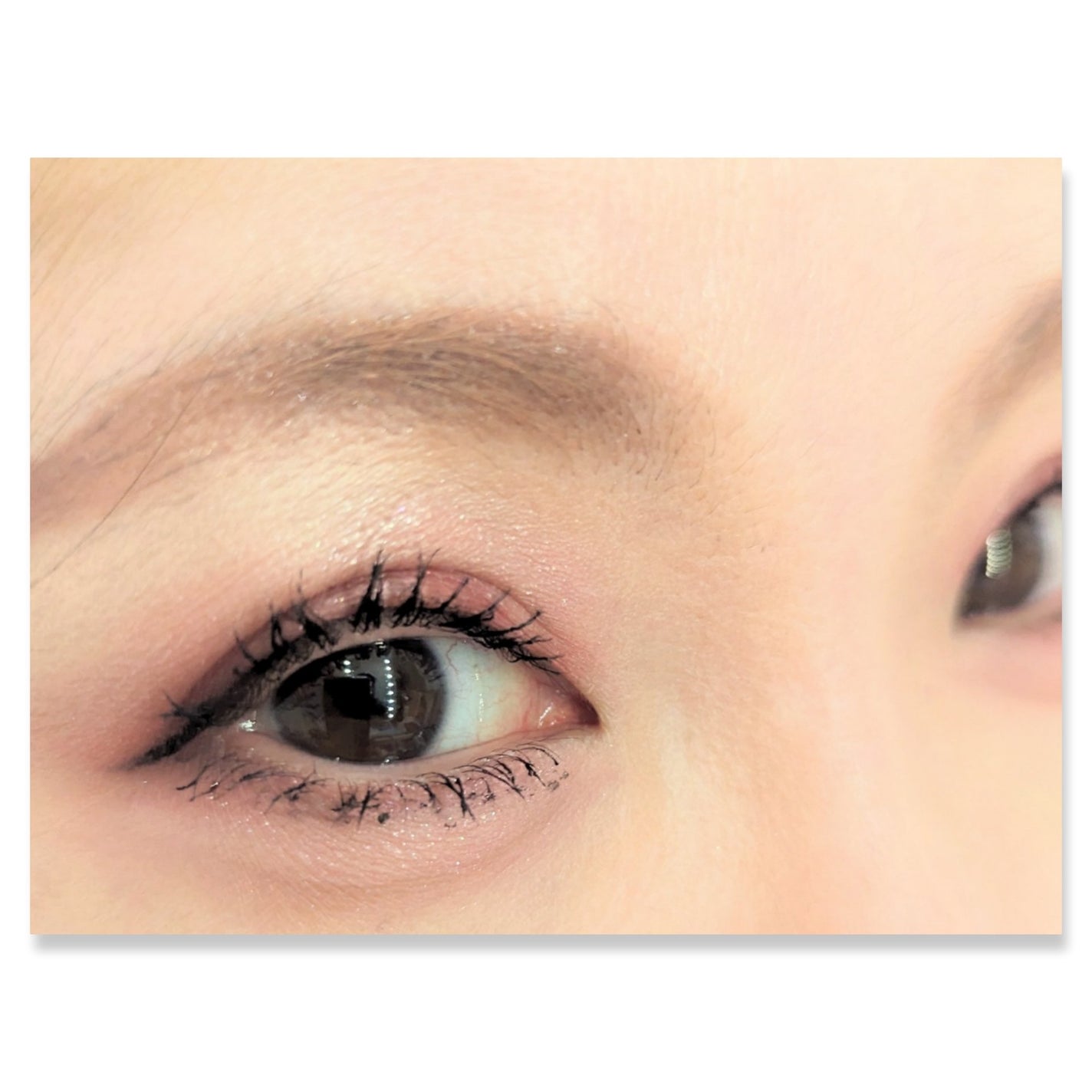 パーフェクトマルチアイズ/キャンメイク/アイシャドウパレットを使ったクチコミ(2枚目)