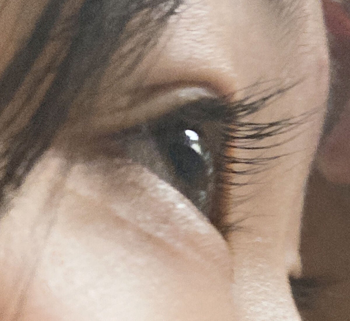 EMAKED(エマーキット)/水橋保寿堂製薬/まつげ美容液を使ったクチコミ(3枚目)