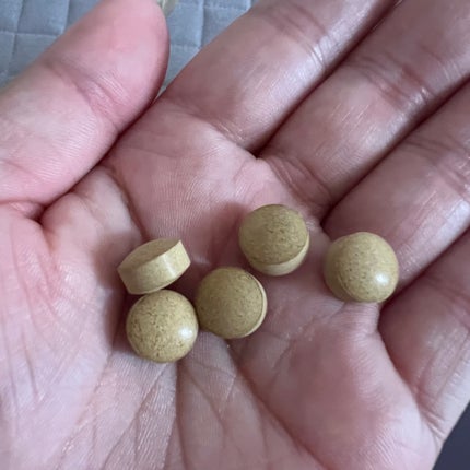 ナイシトールZ(医薬品)/小林製薬/その他を使ったクチコミ(2枚目)
