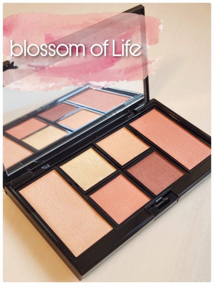 アイ & チーク コンパクトアディクション “ストーリー オブ ライフ” 101 Blossom of Life/ADDICTION/アイシャドウパレットを使ったクチコミ(2枚目)