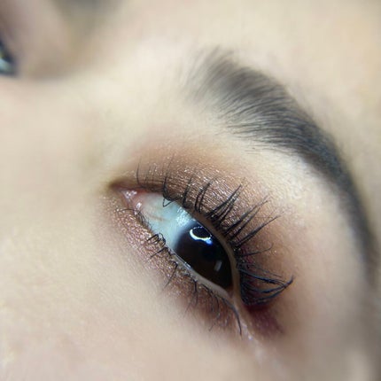 パーフェクトスタイリストアイズ/キャンメイク/アイシャドウパレットを使ったクチコミ(6枚目)