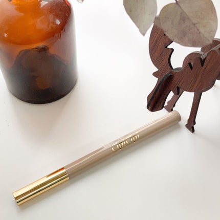 シークレットキワミライナー R/CipiCipi/リキッドアイライナーを使ったクチコミ(1枚目)