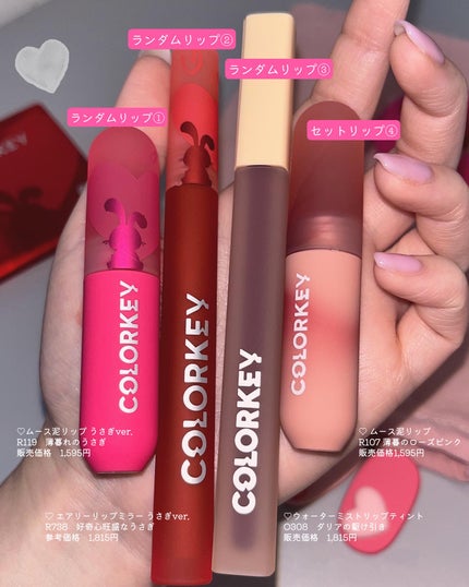 干支シリーズ卯年9色アイシャドウパレット/COLORKEY/アイシャドウパレットを使ったクチコミ(3枚目)