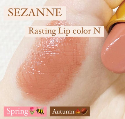 ラスティング リップカラーN/CEZANNE/口紅を使ったクチコミ(1枚目)