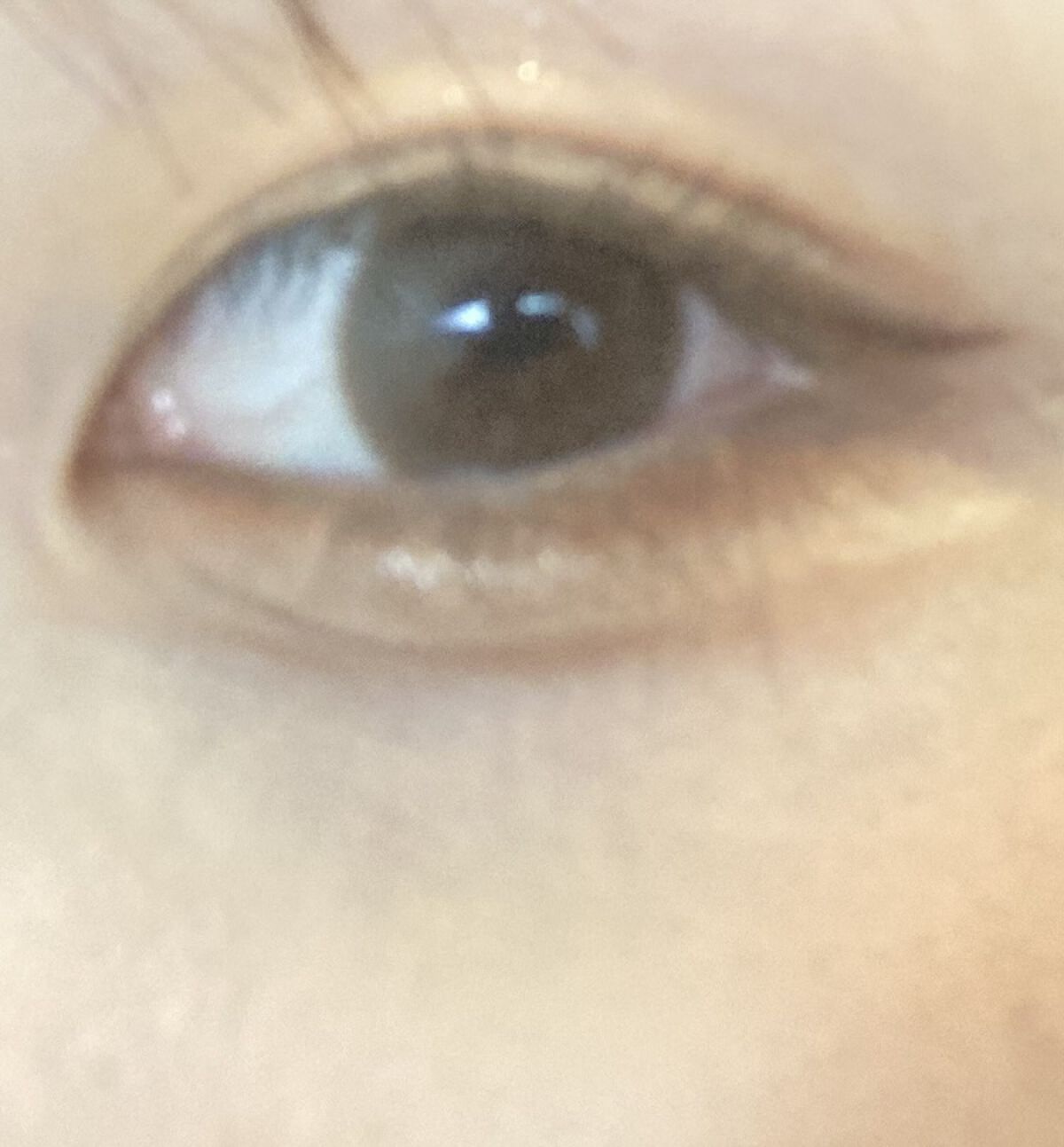 フェアリー ワンデー シマーリングシリーズ SugarMint（シュガーミント）/FAIRY/ワンデー（１DAY）カラコンを使ったクチコミ（3枚目）