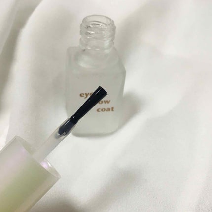 エバビレーナ アイブローコート/DAISO/アイブロウコートを使ったクチコミ(2枚目)