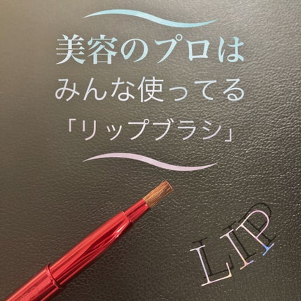 リップブラシ(レッド)N 407/SHISEIDO/メイクブラシを使ったクチコミ(1枚目)