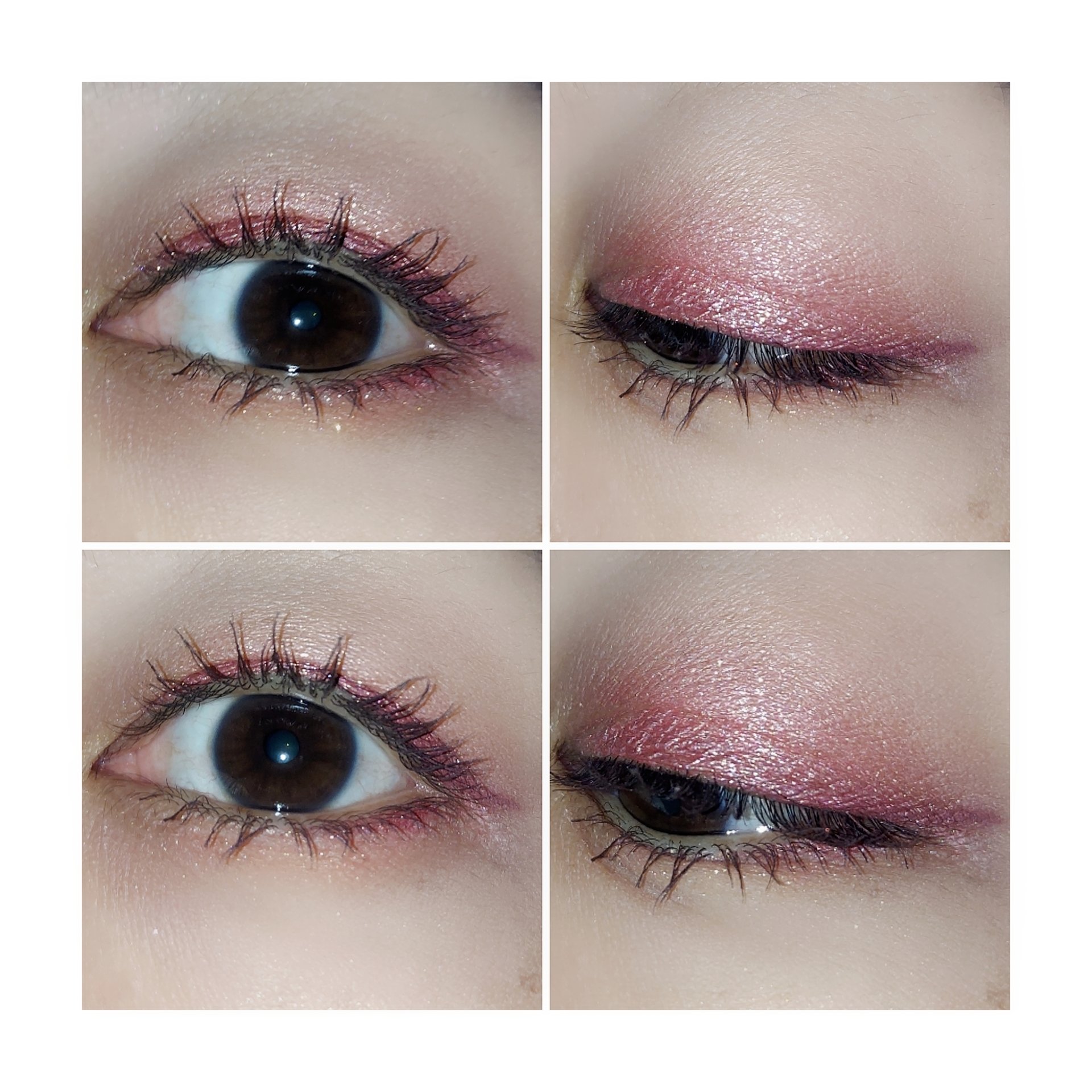 ラズル アイカラー 58 Clown nose/エレガンス ラズル /単色アイシャドウを使ったクチコミ（2枚目）