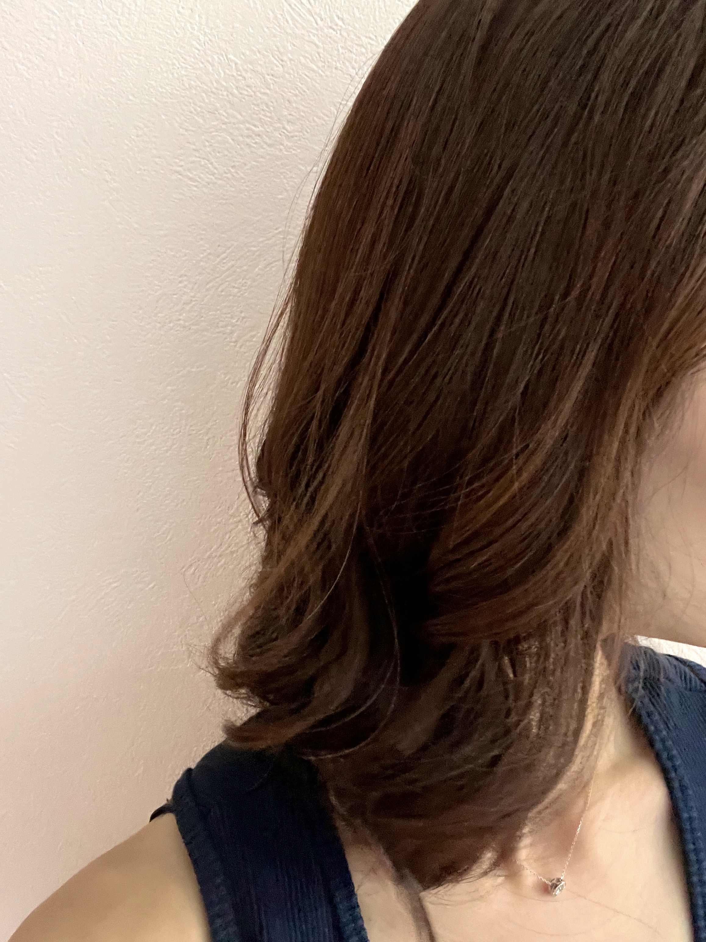 エレメアドライS/クレイツ/ドライヤーを使ったクチコミ（2枚目）