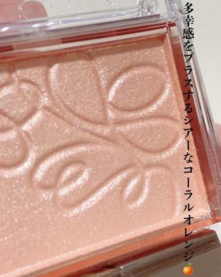 パールグロウニュアンサー/CEZANNE/パウダーハイライトを使ったクチコミ(4枚目)