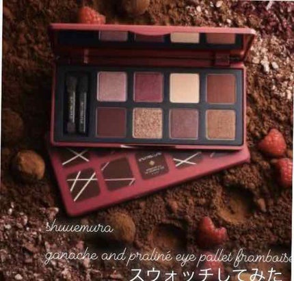 ガナッシュ アンド プラリネ アイパレット/shu uemura/アイシャドウパレットを使ったクチコミ(1枚目)