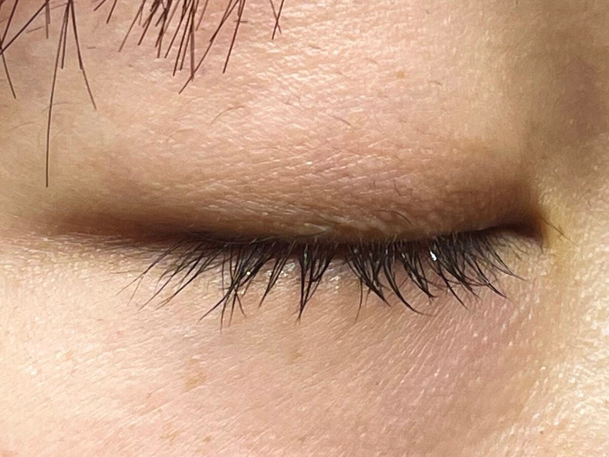ラッシュボーン ブラックファイバーイン/MAJOLICA MAJORCA/マスカラ下地を使ったクチコミ(3枚目)
