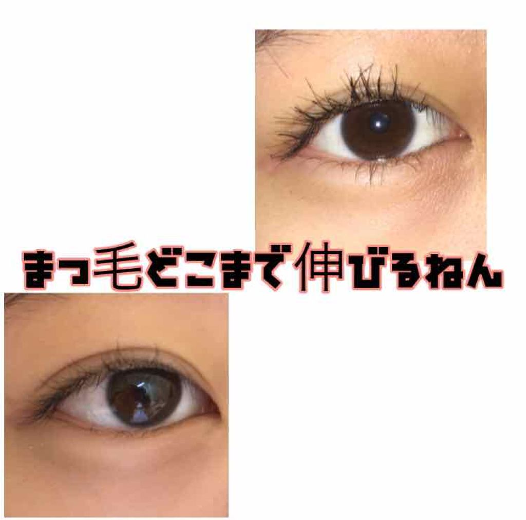 ラッシュエキスパンダー エッジマイスター F/MAJOLICA MAJORCA/マスカラを使ったクチコミ(1枚目)