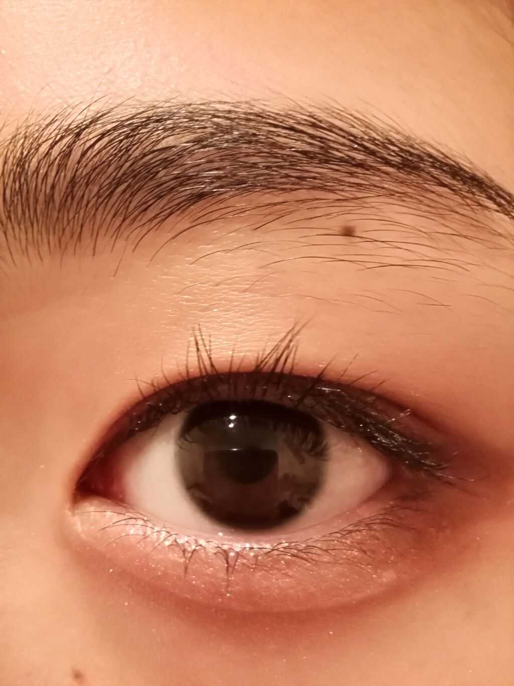 【旧品】パーフェクトスタイリストアイズ/キャンメイク/アイシャドウパレットを使ったクチコミ（3枚目）