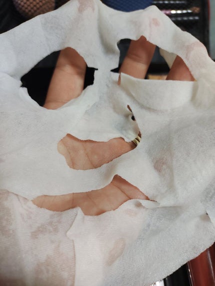 æµ®äžçµµã·ãŒããã¹ã¯ ã¢ã«ããã³/MITOMO/ã·ãŒããã¹ã¯ã»ããã¯ã䜿ã£ãã¯ãã³ãïŒ3æç®ïŒ