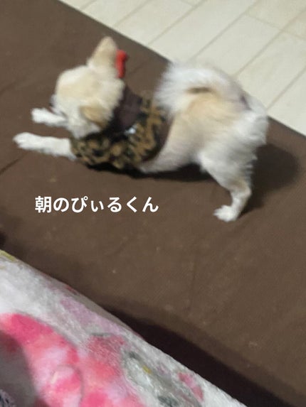 プレスグリッター/ColourPop/グリッターを使ったクチコミ(8枚目)